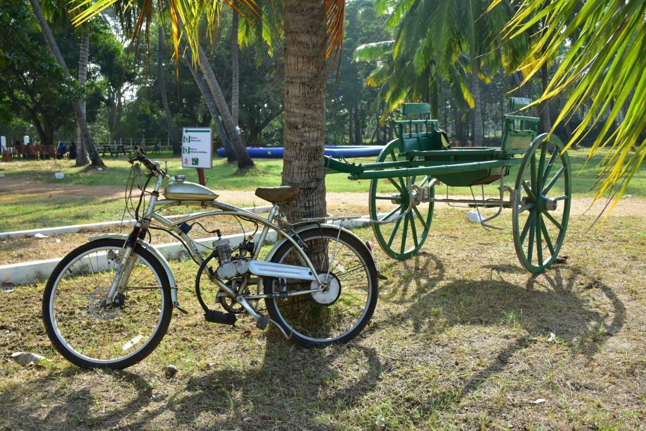 Arachiwil Green Nature Resort Puttalam Exterior foto