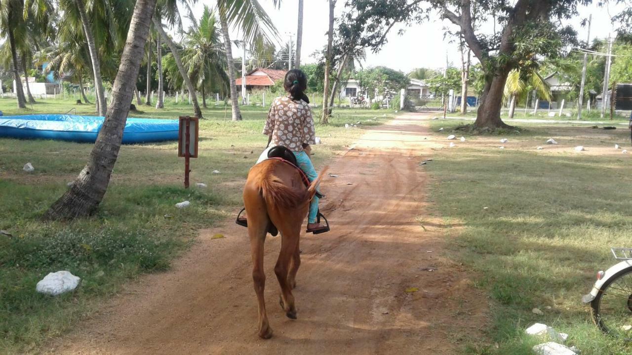 Arachiwil Green Nature Resort Puttalam Exterior foto